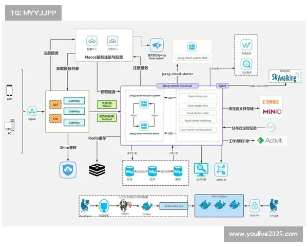 低代码数据转换平台在职业体育团队数据分析工作流程中的普及。